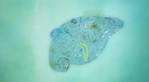 Water's Time Slice