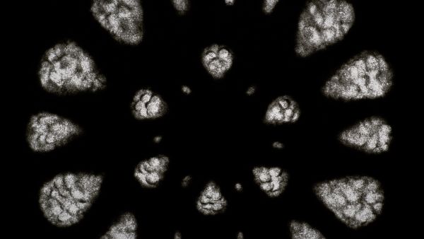 Touching Darkness