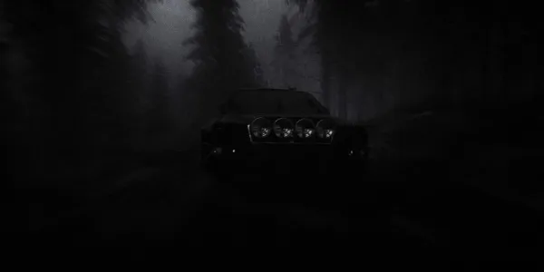 Rally