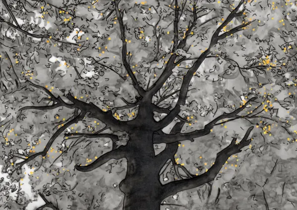 Roots