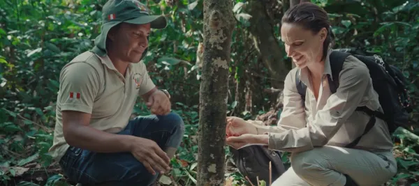 Choose Earth: Wood Wide Web