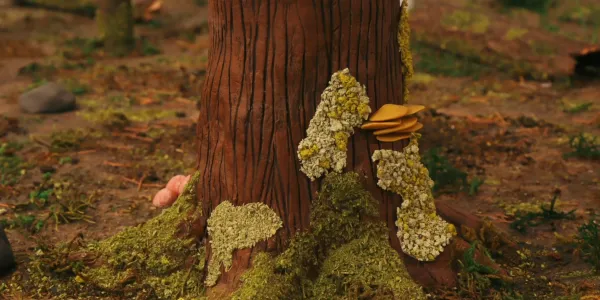 Sapling