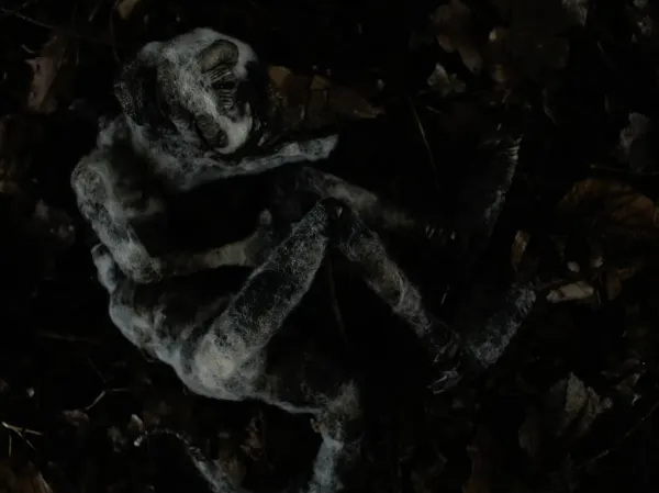 Shackle