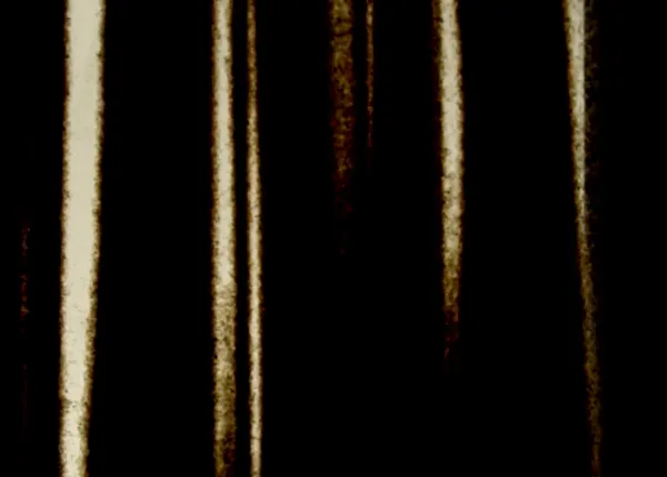 Shadows of ourselves by Pedro Serrazina