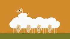Sheep
