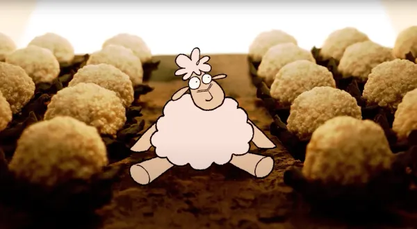 Sheep Well