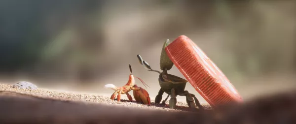 Shellfish