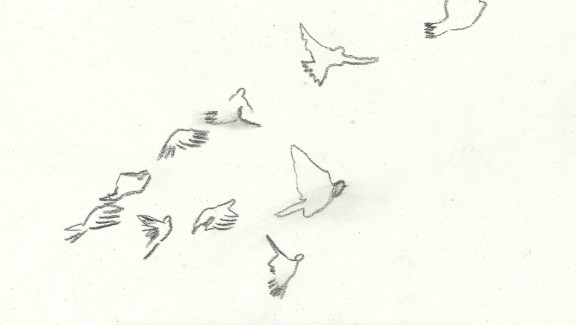 Pigeon Holding