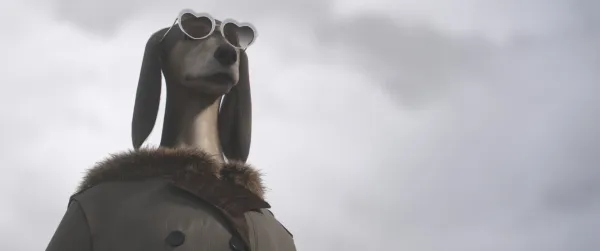 Stockholm by Morgane Perrin and 4 co-directors