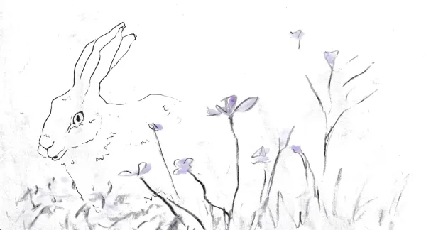 Strokes of Wildflowers by Livvy Seabrook-Wilkins