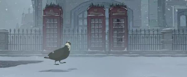 PIGEONS