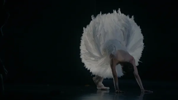 Swan Song