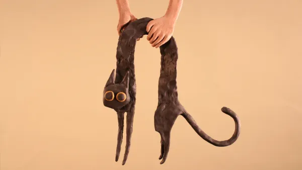 Cats are liquid by Natálie Durchánková
