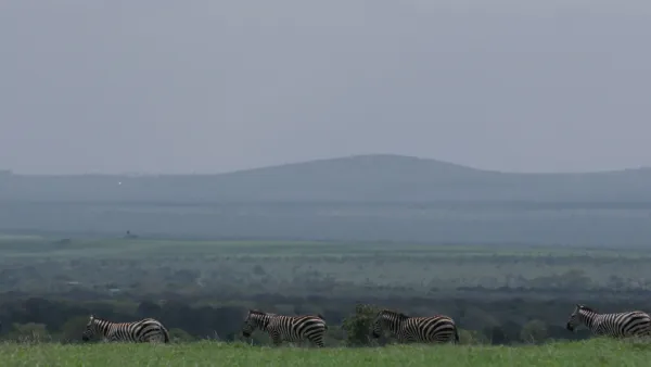 The Battle for Laikipia