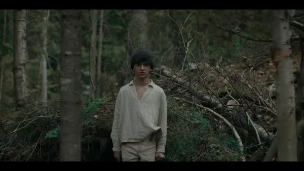 The Boy in the Woods