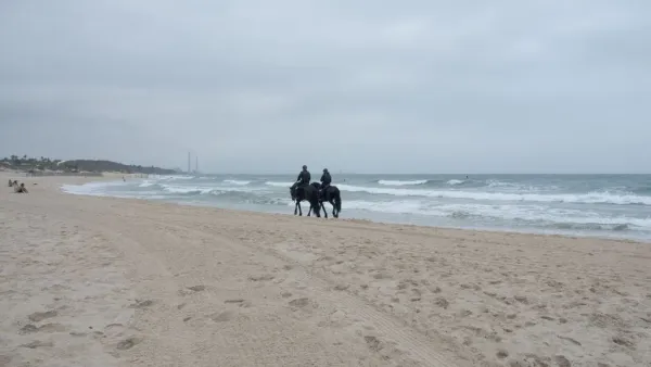 The Cavalry