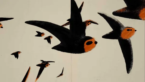 The Chimney Swift by Frederic Schuld