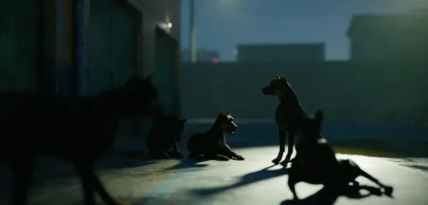 The Dog