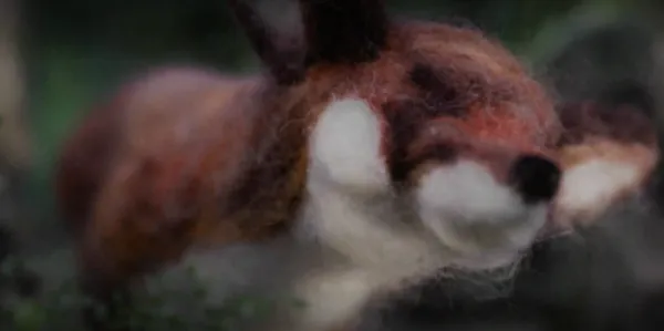 The Fox and the Grapes by Cristina Macchiagodena, Emily Wolak
