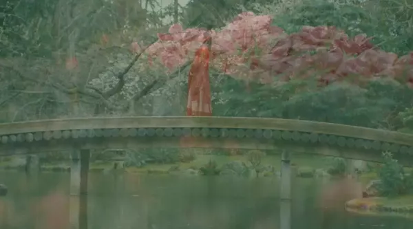 The Garden, Echoes