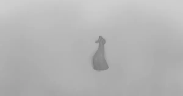 The Hour Coat