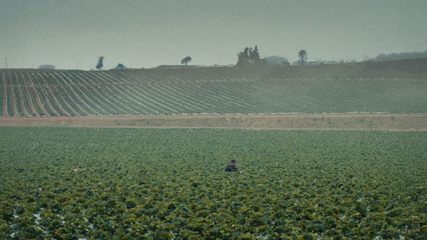 The Long Valley
