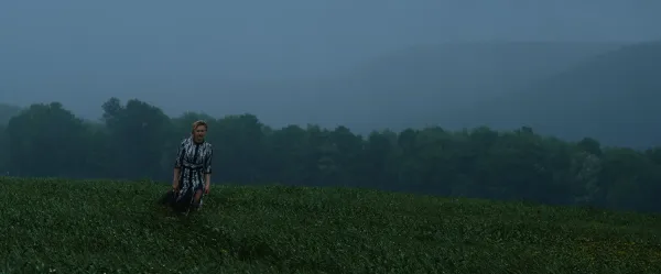 The Quiet Surrender