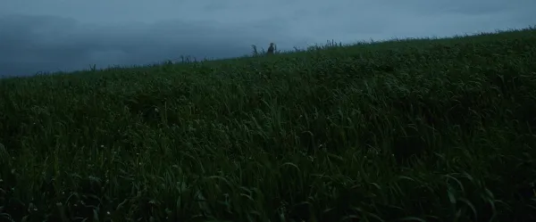 The Quiet Surrender