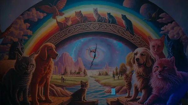 The Rainbow Bridge