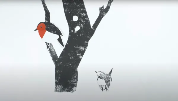 The Robin and the Wren