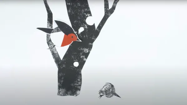 The Robin and the Wren