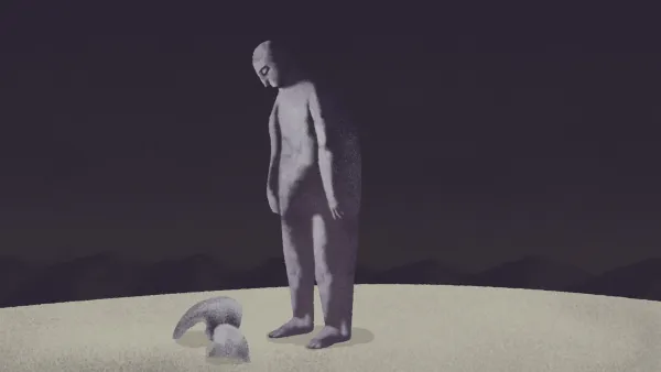 The Root