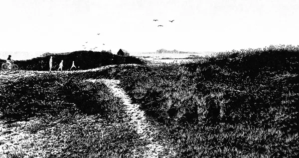 The Shoreline