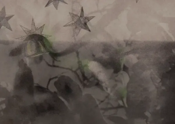 The Stars Watch from Long Ago