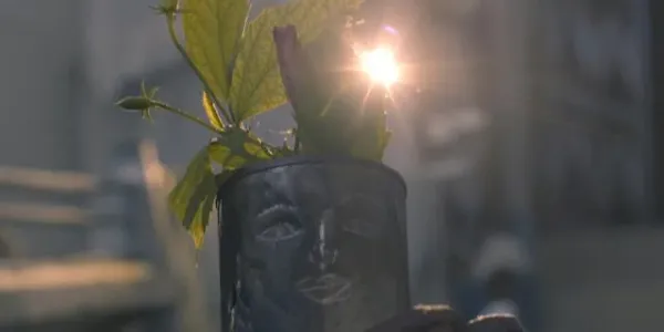 Three Leaves