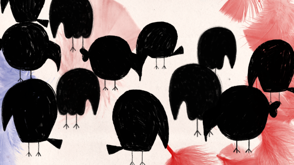 The Birds
