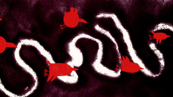 The Birds