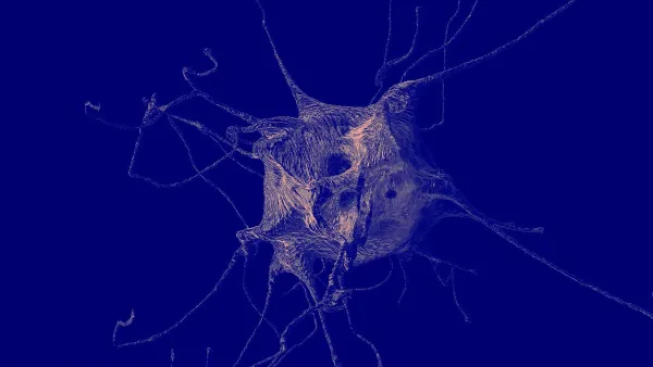 Tunable Mimoid