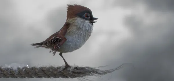 Tweet-Tweet