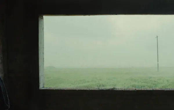 Out of Window