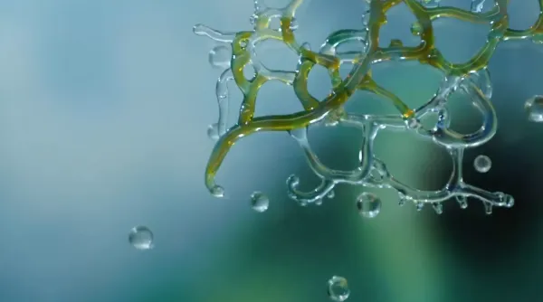 Water's Time Slice