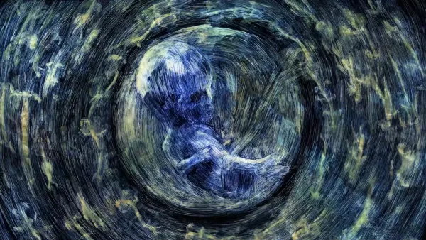 Weight of Consciousness