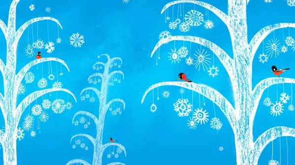 Where do snowflakes come from?