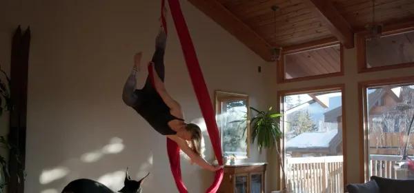 Wild Aerial