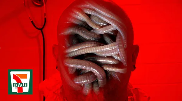Worm Pornography