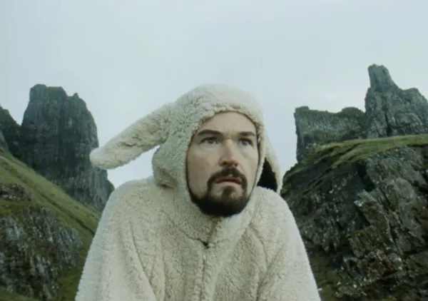 1 in 5 Sheep