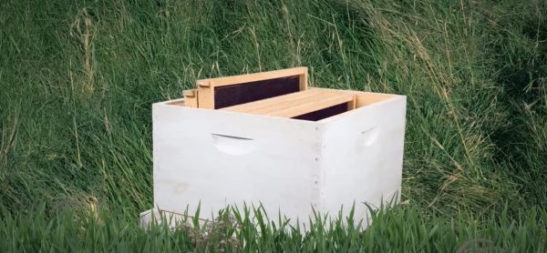 Beebox