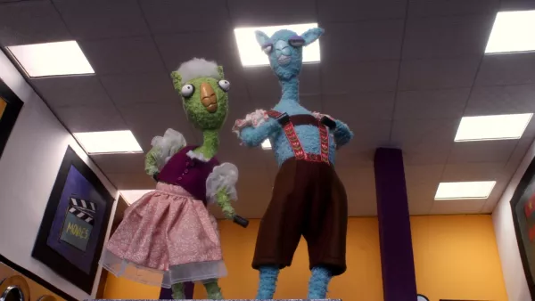 Llamas at the Laundromat