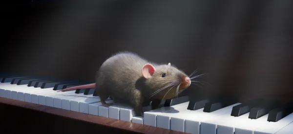 Maus Im Haus by Rebecca Van Houten
