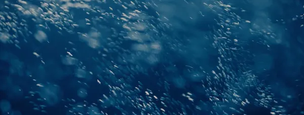 The Little Things That Moves The World